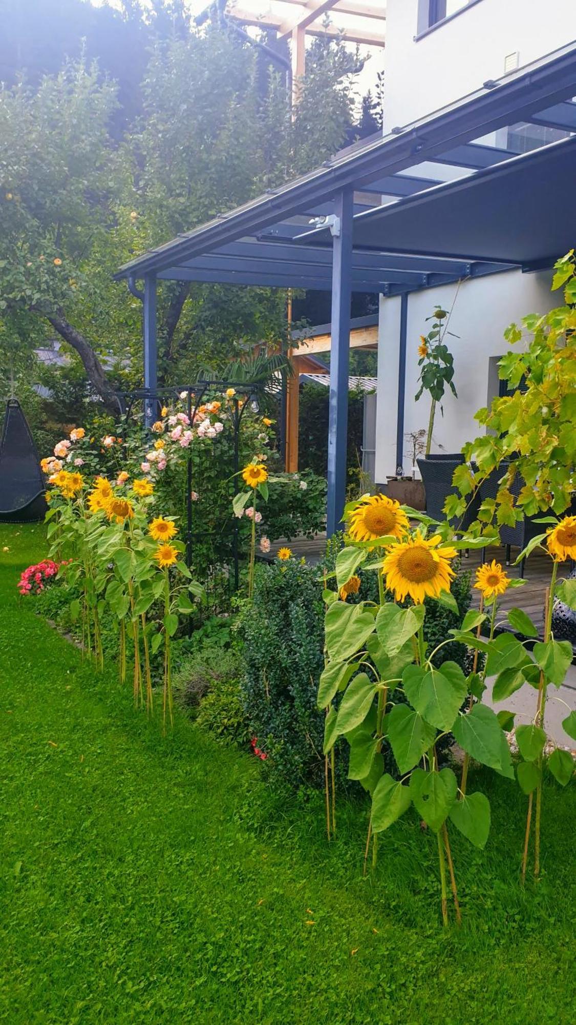 Jagd trifft Moderne&Boutique Jardin Ferienhaus Annaberg-Lungötz Extérieur photo